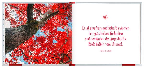 Produktbild: Gute Gedanken f&uuml;r jeden Tag
