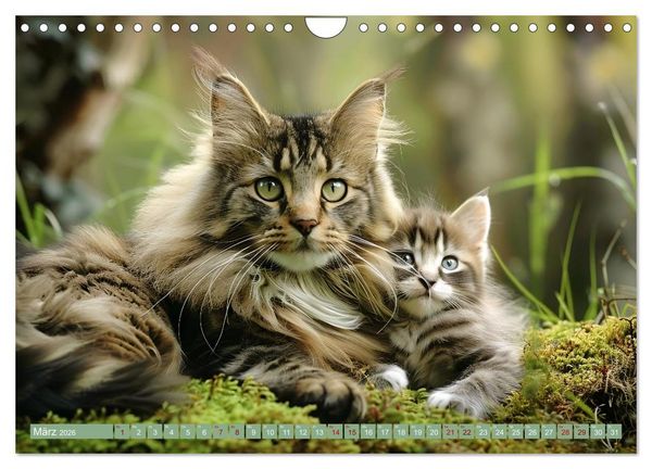 Produktbild: Tierkinder des Nordens (Wandkalender 2026 DIN A4 quer), CALVENDO Monatskalender