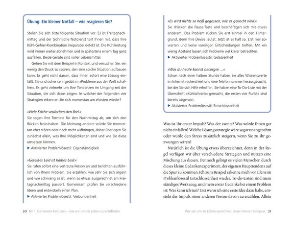 Produktbild: Wenn das Leben kippt
