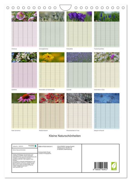 Produktbild: Kleine Natursch&ouml;nheiten (Wandkalender 2026 DIN A4 hoch), CALVENDO Monatskalender
