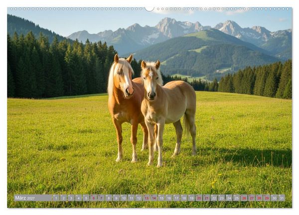 Produktbild: Alpent&auml;ler und Haflinger Pferde (Wandkalender 2027 DIN A2 quer), CALVENDO Monatskalender