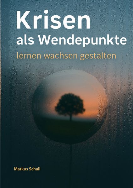 Produktbild: Krisen als Wendepunkte