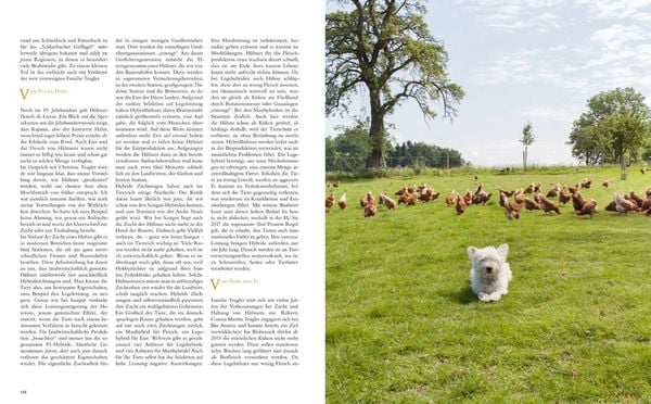 Produktbild: Ab Hof