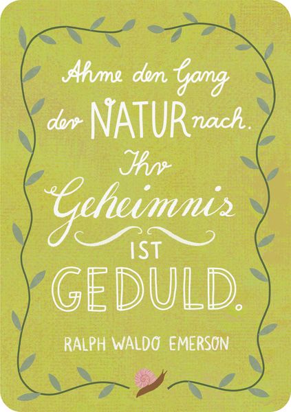 Lebe wild und voller Wunder - 50 Inspirationskarten aus der Natur
