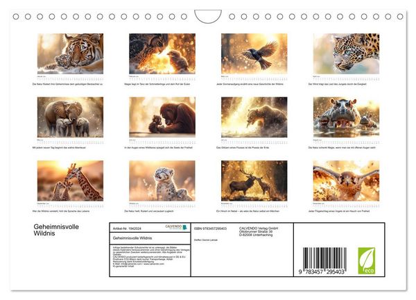 Produktbild: Geheimnisvolle Wildnis (Wandkalender 2026 DIN A4 quer), CALVENDO Monatskalender