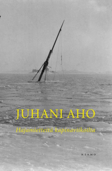 Produktbild: Hajamietteit&auml; kapinaviikoilta