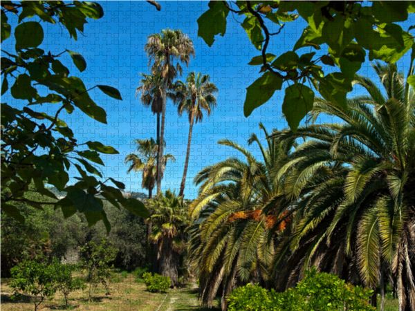 Produktbild: CALVENDO Puzzle Gartenansicht | 1000 Teile Lege-Gr&ouml;&szlig;e 64x48cm Foto-Puzzle f&uuml;r gl&uuml;ckliche Stunden