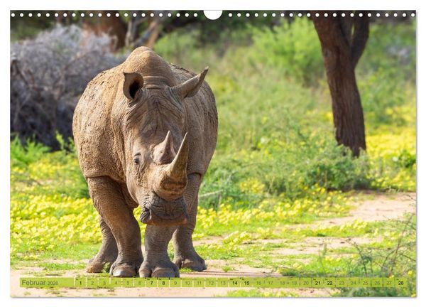 Produktbild: Das s&uuml;dliche Afrika 2026 (Wandkalender 2026 DIN A3 quer), CALVENDO Monatskalender