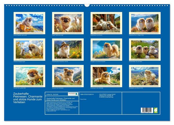 Produktbild: Zauberhafte Pekinesen. Charmante und stolze Hunde zum Verlieben (Wandkalender 2026 DIN A2 quer), CALVENDO Monatskalender