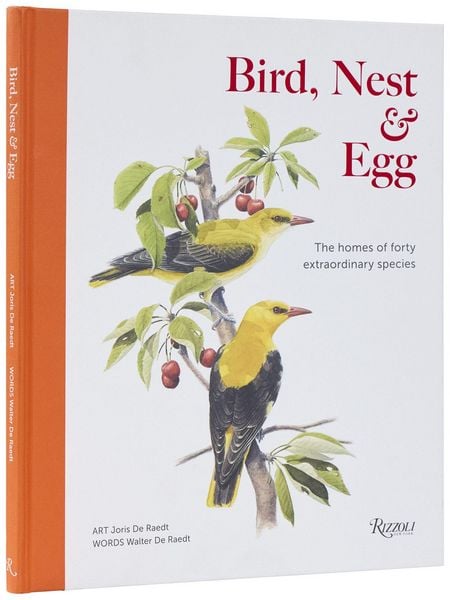Produktbild: Bird, Nest & Egg