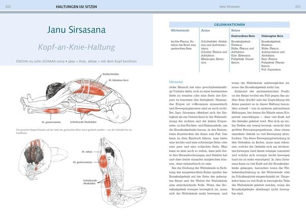Produktbild: Yoga-Anatomie