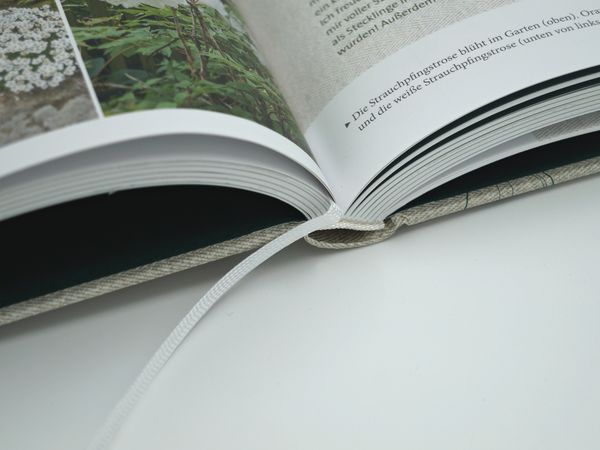 Mdr Garten Das grüne Telefon von Claudia LookHirnschal Buch Thalia
