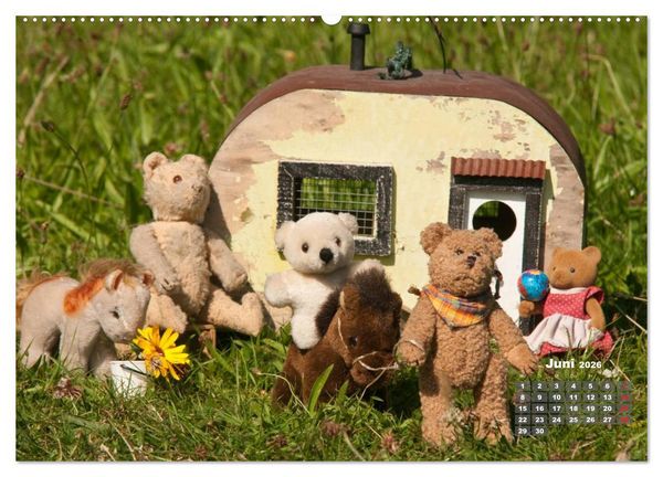 Produktbild: Geliebte B&auml;ren - Teddys (hochwertiger Premium Wandkalender 2026 DIN A2 quer), Kunstdruck in Hochglanz