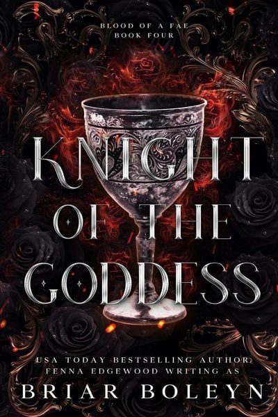 Produktbild: Knight of the Goddess