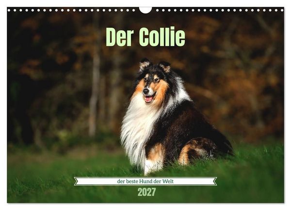 Produktbild: Der Collie der beste Hund der Welt (Wandkalender 2027 DIN A3 quer), CALVENDO Monatskalender