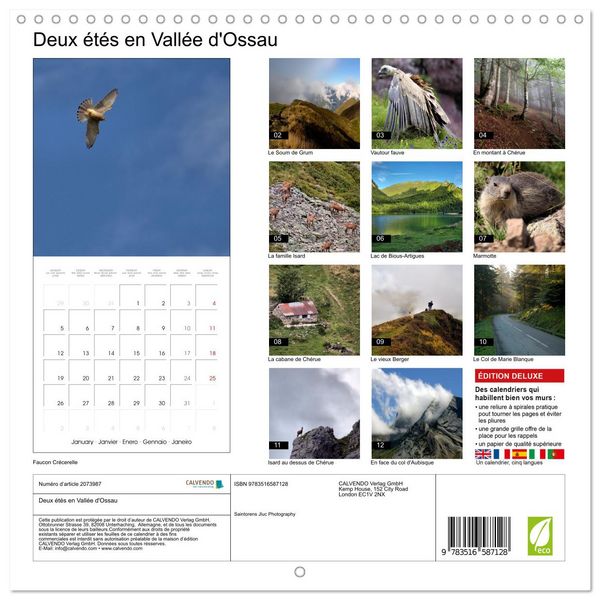 Produktbild: Deux &eacute;t&eacute;s en Vall&eacute;e d'Ossau (Calendrier mural carr&eacute; 2026 30x30 cm) Calendrier double avec une page pour vos prises de notes