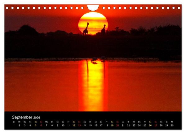 Produktbild: What a wonderful world (Wandkalender 2026 DIN A4 quer), CALVENDO Monatskalender
