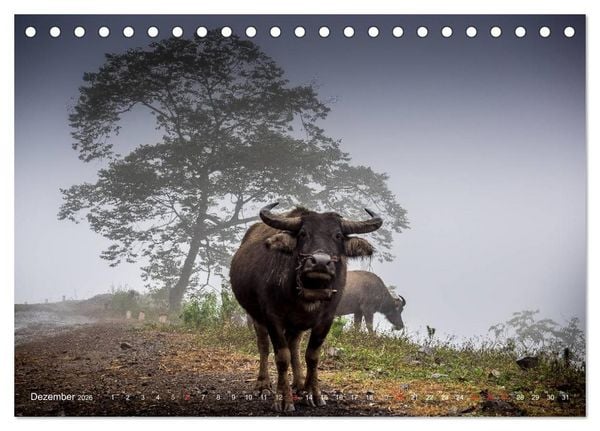 Produktbild: Vietnam und Kambodscha - Magische Momente. (Tischkalender 2026 DIN A5 quer), CALVENDO Monatskalender
