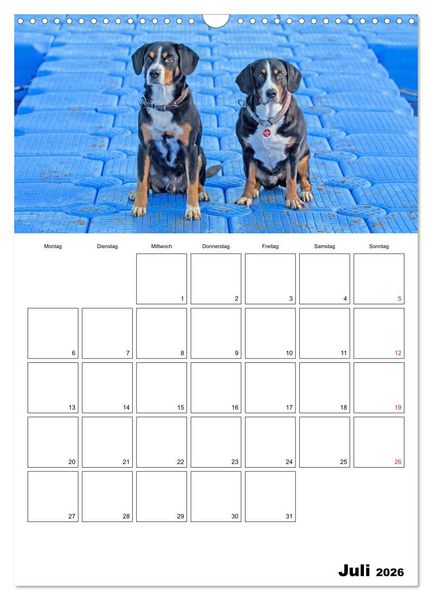 Produktbild: Entlebucher Sennenhunde begleiten Sie durch das Jahr (Wandkalender 2026 DIN A3 hoch), CALVENDO Monatskalender