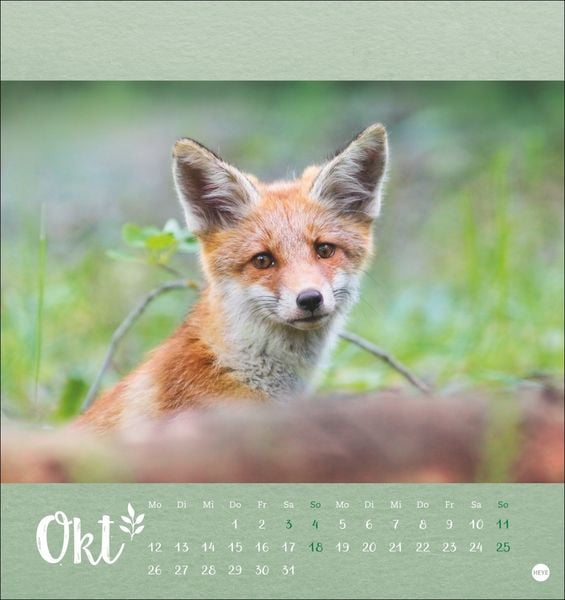 Vadim Trunov: Märchenhaftes Waldleben Postkartenkalender