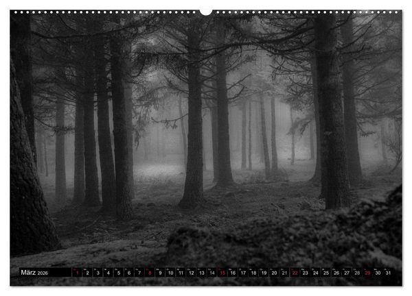 Produktbild: Stille Momente in Schwarz-Weiss (hochwertiger Premium Wandkalender 2026 DIN A2 quer), Kunstdruck in Hochglanz