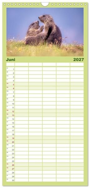Produktbild: Familienplaner 2027 - Tiere der Alpen - Murmeltier-Kinder mit 5 Spalten (Wandkalender, 21 x 45 cm) CALVENDO