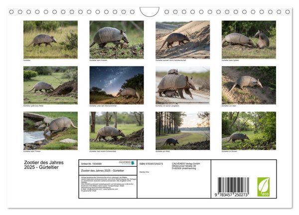 Produktbild: Zootier des Jahres 2025 - G&uuml;rteltier (Wandkalender 2026 DIN A4 quer), CALVENDO Monatskalender