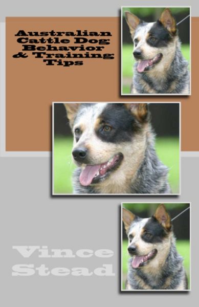 Produktbild: Australian Cattle Dog Behavior & Training Tips