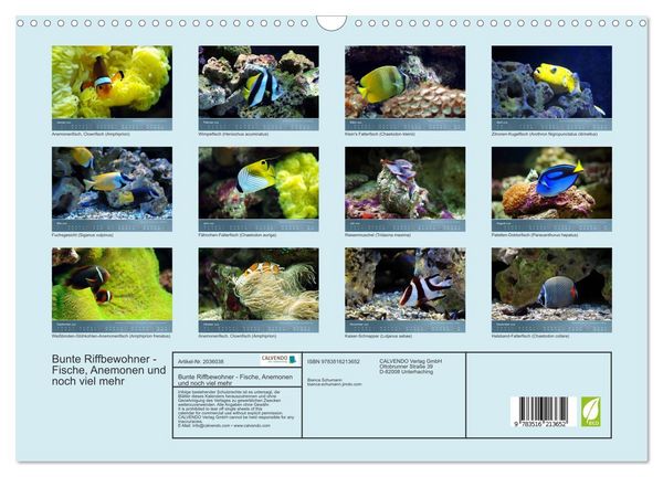 Produktbild: Bunte Riffbewohner - Fische, Anemonen und noch viel mehr (Wandkalender 2026 DIN A3 quer), CALVENDO Monatskalender
