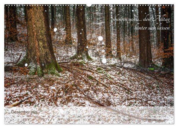 Produktbild: Shinrin yoku - Waldbaden 2026 (Wandkalender 2026 DIN A2 quer), CALVENDO Monatskalender