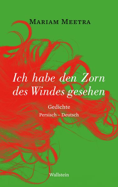 Produktbild: Ich habe den Zorn des Windes gesehen