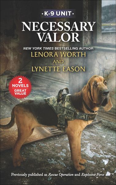 Produktbild: Necessary Valor