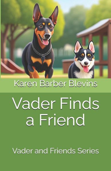 Produktbild: Vader Finds a Friend