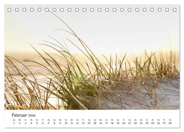Produktbild: D&uuml;nen und Meer Nordseemomente (Tischkalender 2026 DIN A5 quer), CALVENDO Monatskalender