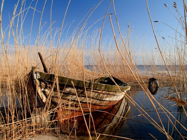Produktbild: CALVENDO Puzzle Altes Boot im Schilf | 1000 Teile Lege-Gr&ouml;&szlig;e 64x48cm Foto-Puzzle f&uuml;r gl&uuml;ckliche Stunden