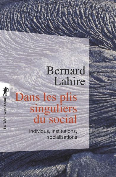 Produktbild: Dans les plis singuliers du social