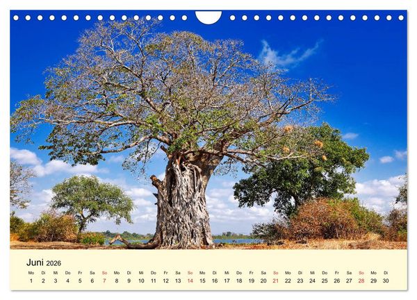 Produktbild: Traumhaftes Malawi (Wandkalender 2026 DIN A4 quer), CALVENDO Monatskalender