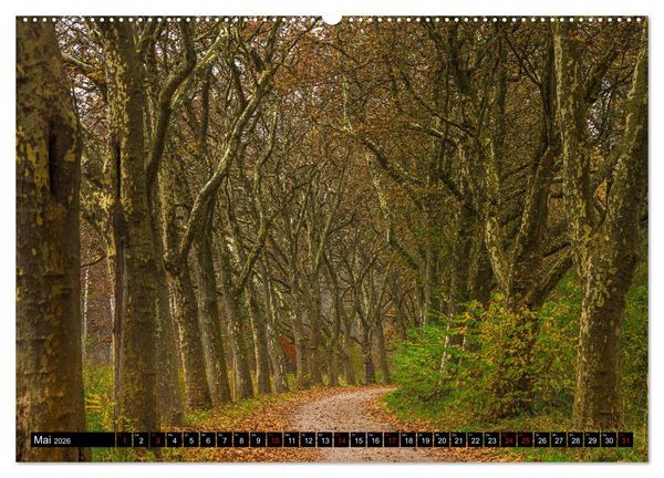 Produktbild: Herbst rund um den Bodensee (Wandkalender 2026 DIN A2 quer), CALVENDO Monatskalender