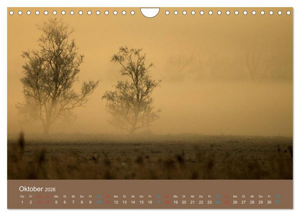 Produktbild: Fasziantion Natur (Wandkalender 2026 DIN A4 quer), CALVENDO Monatskalender