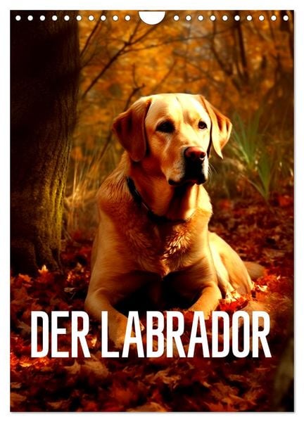 Produktbild: Der Labrador (Wandkalender 2026 DIN A4 hoch), CALVENDO Monatskalender