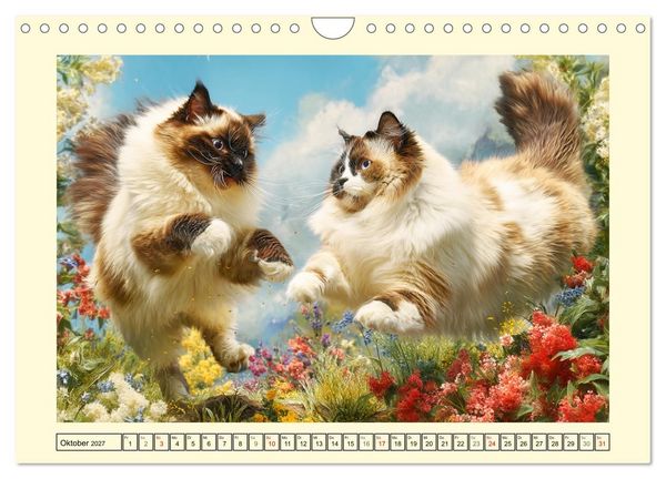 Produktbild: Sch&ouml;ne Katzen. Beliebte Samtpfoten im Garten (Wandkalender 2027 DIN A4 quer), CALVENDO Monatskalender