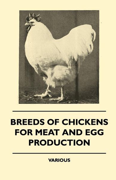 Produktbild: Breeds of Chickens for Meat and Egg Production
