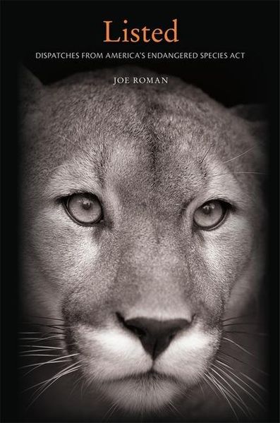 Produktbild: Roman, J: Listed