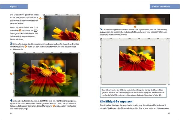 Produktbild: GIMP 3 - Einstieg und Praxis
