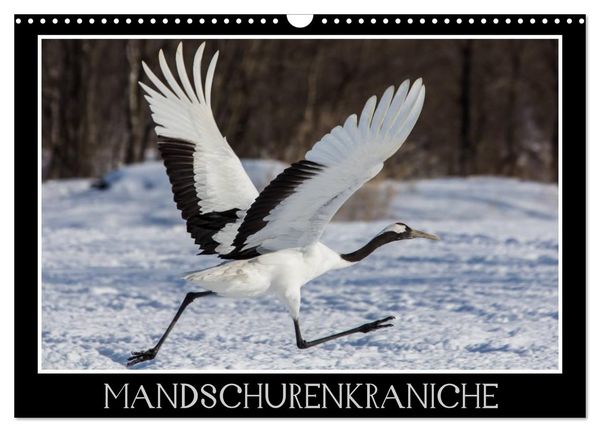 Produktbild: Mandschurenkraniche (Wandkalender 2026 DIN A3 quer), CALVENDO Monatskalender