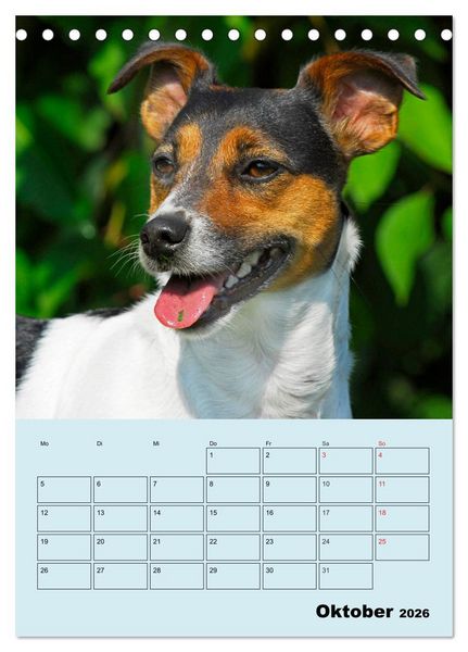 Produktbild: Familienplaner Jack und Parson Russell Terrier (Tischkalender 2026 DIN A5 hoch), CALVENDO Monatskalender