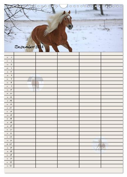 Produktbild: Haflinger Pferde - Stall- und Familienplaner 2026 (Wandkalender 2026 DIN A3 hoch), CALVENDO Monatskalender
