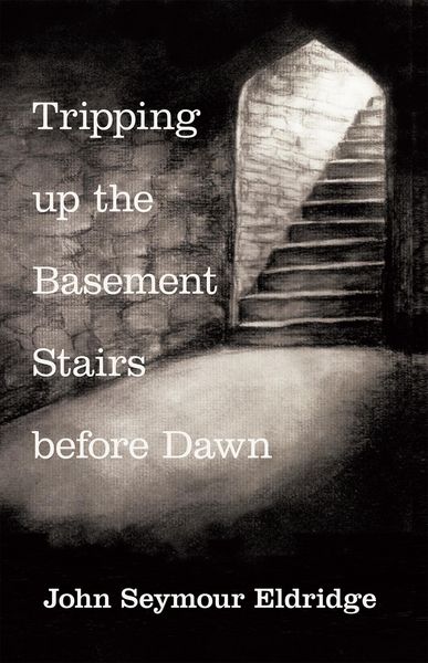 Produktbild: Tripping up the Basement Stairs Before Dawn