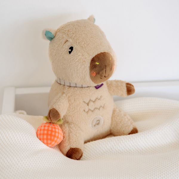 Produktbild: Einschlafhilfe Capybara