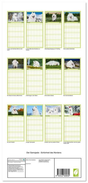 Produktbild: Familienplaner 2026 - Der Samojede - Sch&ouml;nheit des Nordens mit 5 Spalten (Wandkalender, 21 x 45 cm) CALVENDO